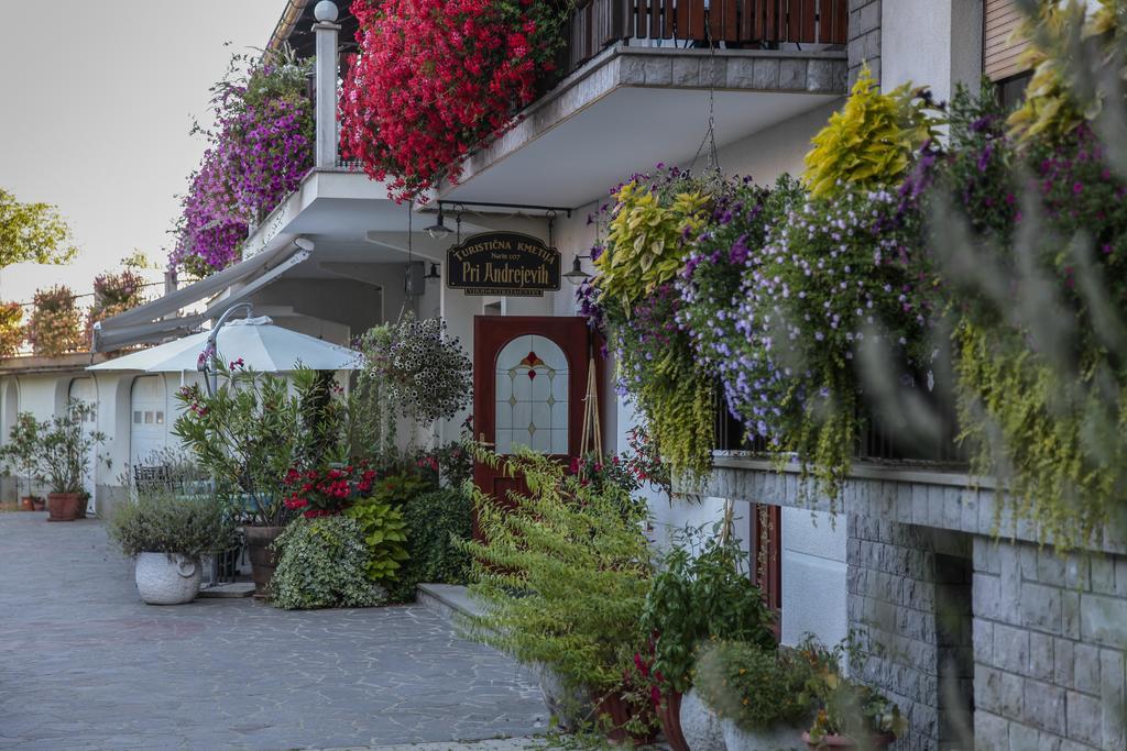Tourist Farm Pri Andrejevih Villa Narin Exterior photo